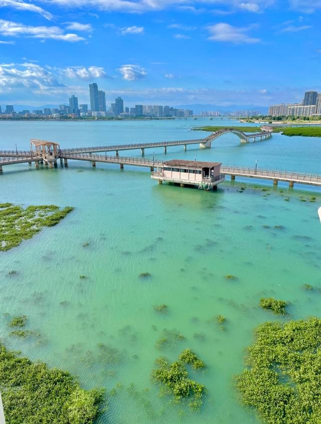 厦门下潭尾湿地公园，被称厦门版的马尔代夫，海上森林，颜值爆表