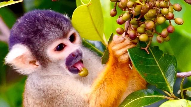 一生一次，2027年出发！41天南极半岛包船登陆，南美4国狂野自驾