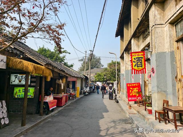 四川行(75)广汉②金雁湖公园·黑塔街·龙居寺