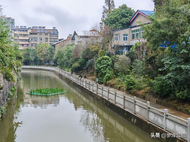 云梦生态浮岛的三重奏