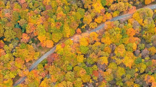 从博主镜头到人民日报！旺苍盐井峡红叶火了！