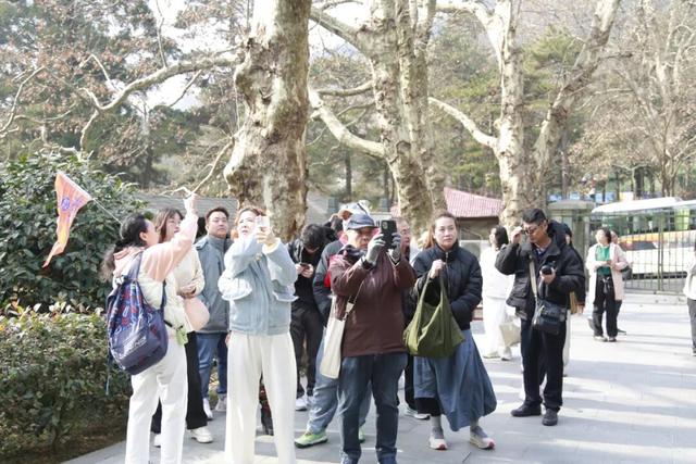 “浔”梦诗画九江——2025 年新加坡马来西亚旅行商考察团深度行走进庐山