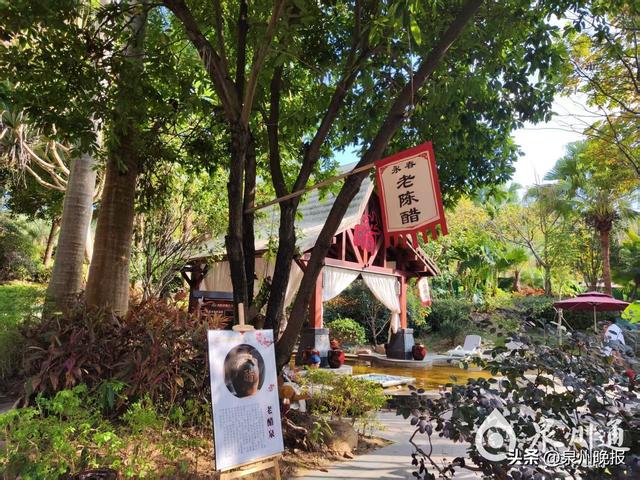 冬游热选！泉州多地温泉品质上乘、各具特色