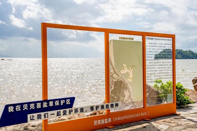 珠海赶海地图出炉！这些宝藏海滩，火爆了！