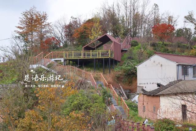 宁波四明山发现一个幽静山村，村口就是红枫银杏胜境，村内更好玩