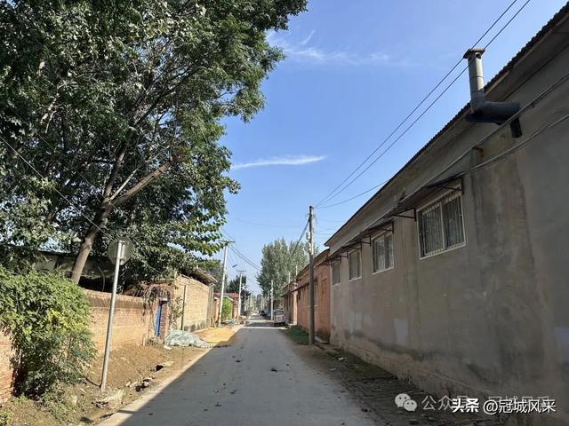 冠县乡韵·兰沃乡大柳邵村