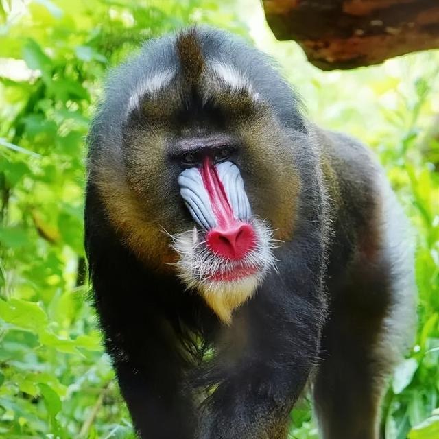 快查！你中奖了没