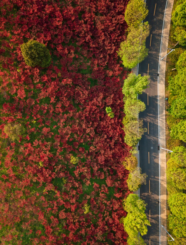跟着《一路繁花2》打卡花溪~复刻姐姐们同款秋冬美景！