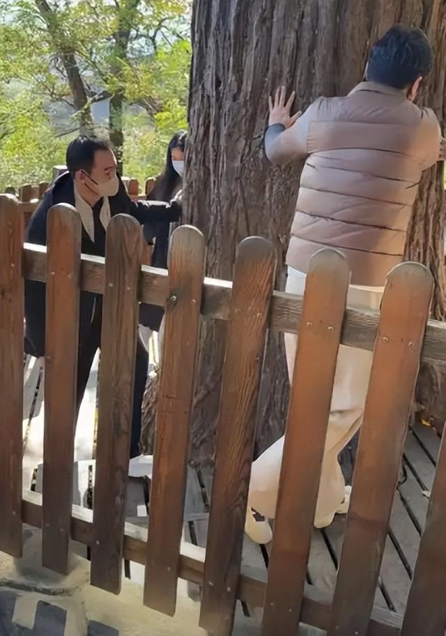 离春节不到2月，52岁辛柏青高调传出喜讯	，朱媛媛终于可以放心了