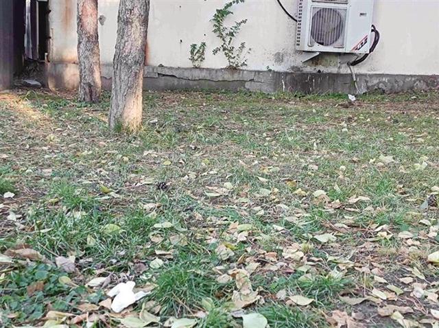 美景之下不文明旅游行为煞风景