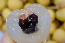 龙眼肉不仅好吃，还有诸多功效，你愿意了解一下吗？图片