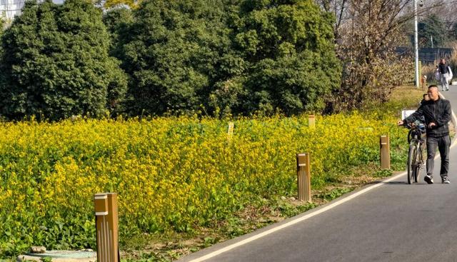 赏花何必等春！这个冬天，成都花儿都开men了→