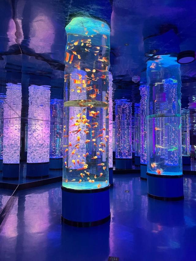 福建大变局！崇武突然爆红，闽南滨海小城集体看懵～