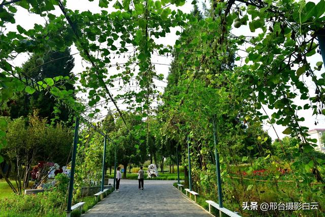 立秋之约：达活泉公园的诗意画卷（图）