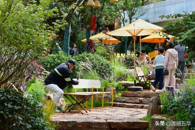 连通翠湖、昆明老街片区！翠湖城市绿道建成开放