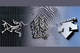 一只鸟两棵树三条路，中产被安踏包围了图片