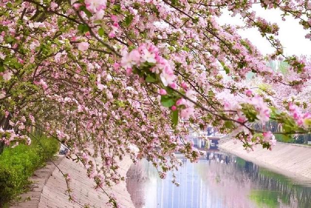 北京元大都城垣遗址公园 海棠花溪