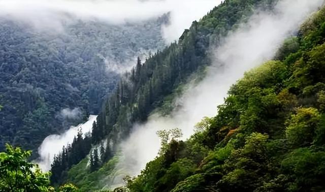 从冰封雪原到热带雨林：中国终极越野之路扎墨公路，你敢挑战吗？