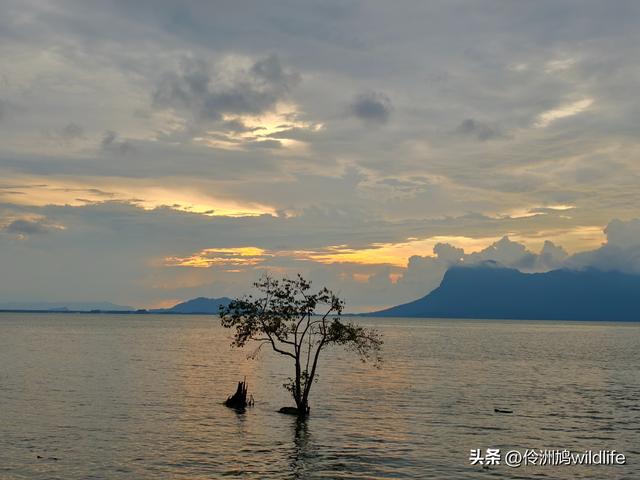 马来西亚(35)砂拉越州⑨峇哥国家公园徒步线路