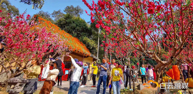 灯会、花展与民俗齐飞！今年过年，就到白云山风景名胜区