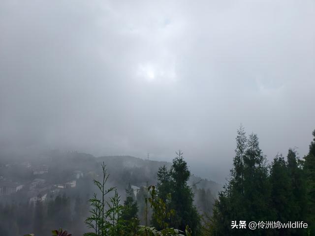 四川行(73)什邡红枫岭徒步到钟鼎寺