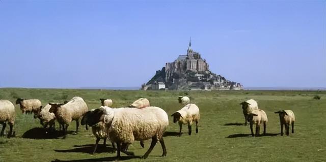 在法兰西共和国的八个春秋 | 布列塔尼地区之行（下）