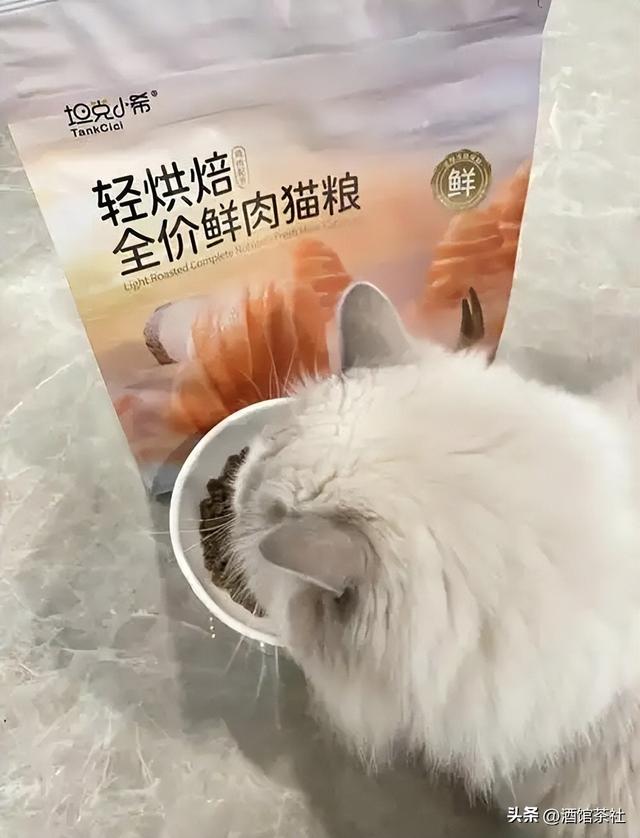 吃猫粮、假装养娃？这届年轻人省钱狠起来连自己都骗！