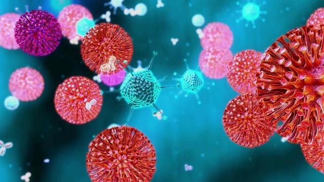 甲流的元凶被查出，海鲜没上榜，第1名大家或许每天都在接触！