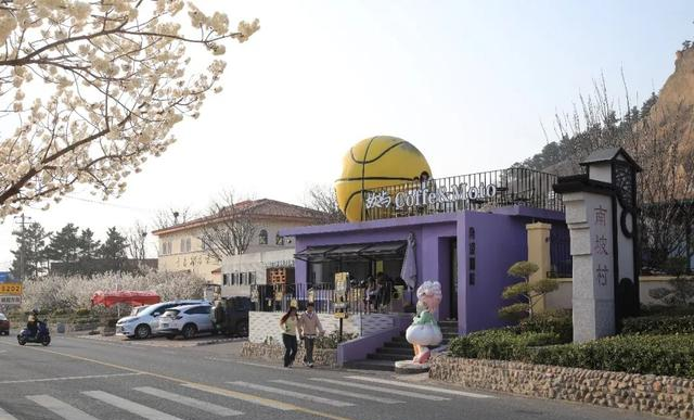 青岛这趟公交，直接开进春天的花海里！美到失语……