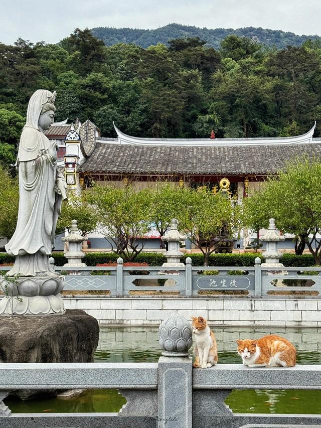 年轻人也爱寺庙游？福州这三座免费古刹，历经千年风霜值得一去