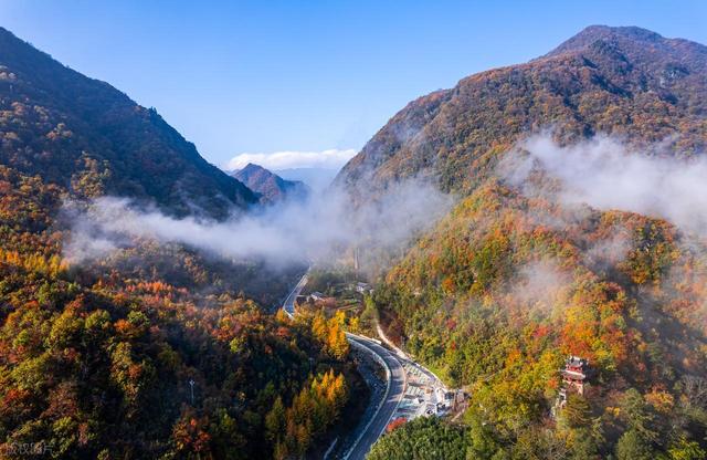 10月下旬-11月上旬，7个赏秋好地方，秋景鲜艳，尽享绚烂秋色