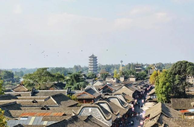 速来→崇州正上演初冬金色浪漫大片！