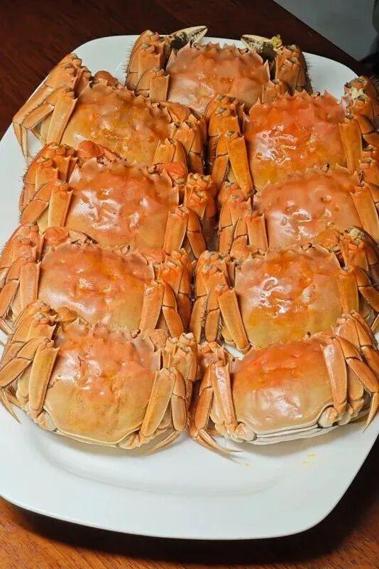 看辽宁·四季风土 | 稻蟹红滩 大洼秋丰
