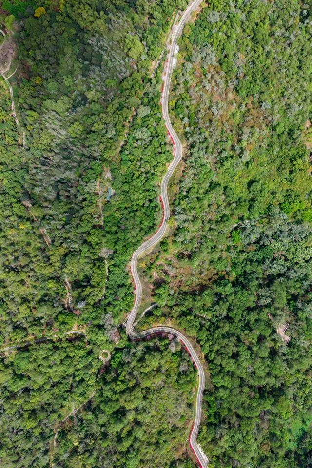 🤳原来秋天的龙岗，要这么追……