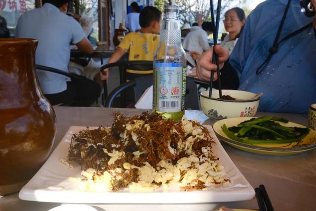 大理银桥 | 以旅居的方式，去发现“景点”和“美食”