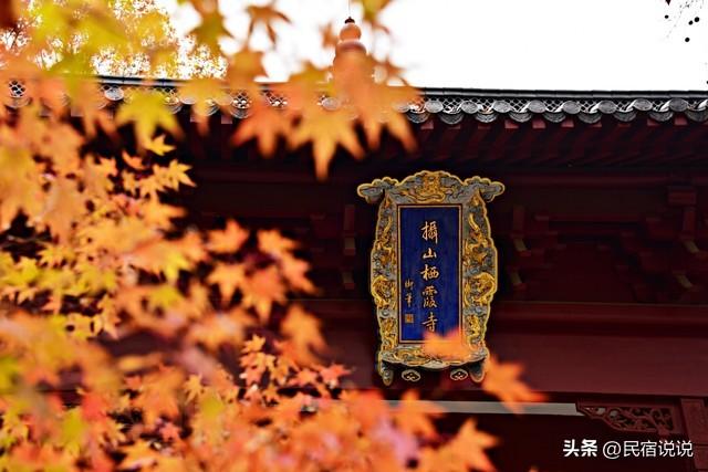 南京栖霞山突然狂圈粉！