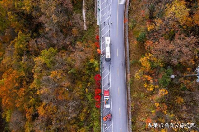 光雾山：川陕腹地的红叶秘境与千年回响