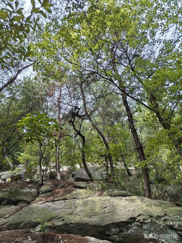爬山，要量力而行，安全第一，爬歌乐山911更需如此