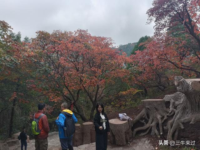 无为在歧路，济南红叶谷