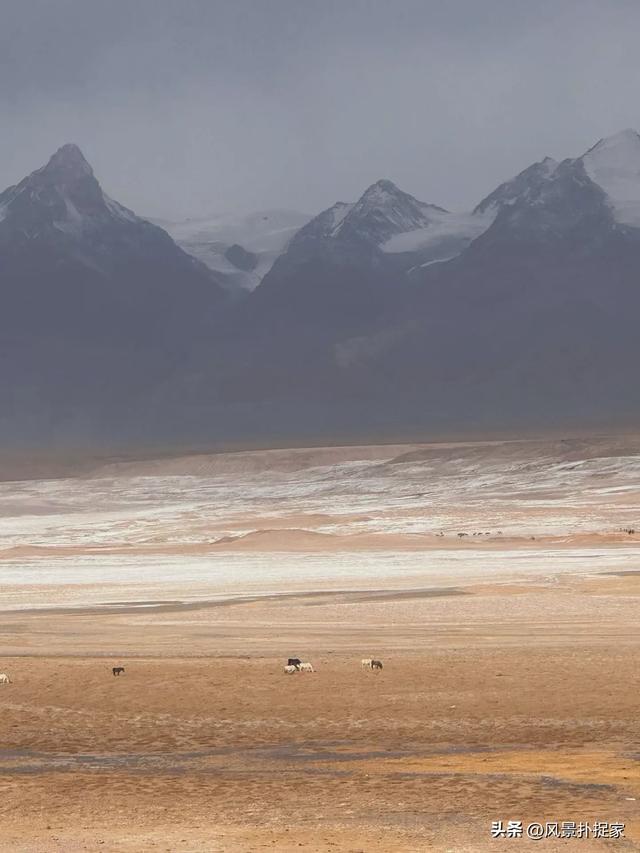 大西北风景随手拍