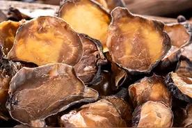 一张“固齿神方”，横扫各种牙科病，牙痛、牙出血等都能用图片