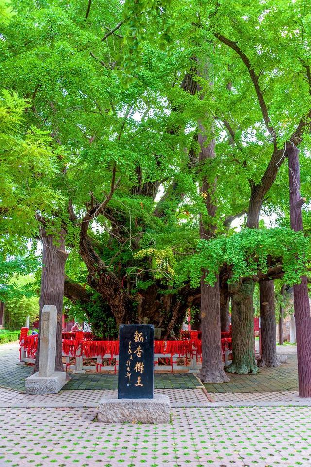 日照旅游景点十大排名，山东日照最值得去的10个地方，你去过几个