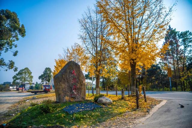 彭州这条“世界级”徒步线，走起！