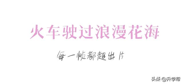 惊艳到了！乐山嘉阳千日红花海原图直出的美！