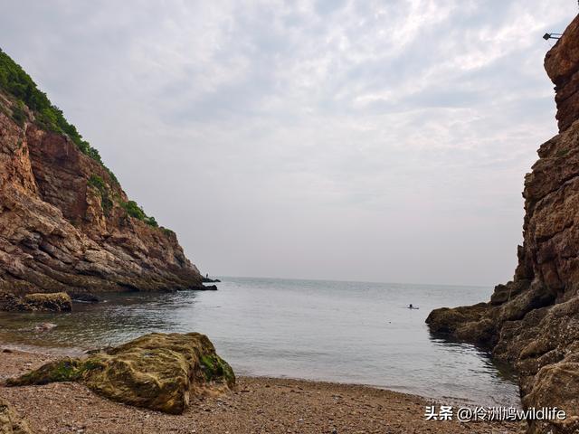 大连海之韵公园·棒槌岛