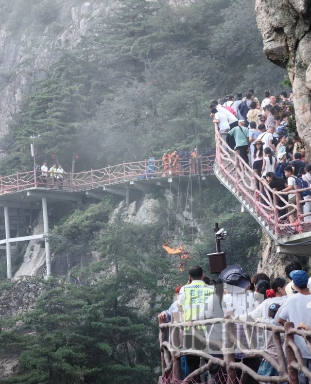 又作死？老君山游客翻栏拍照坠崖，景区：系自行违规，网友吵翻了