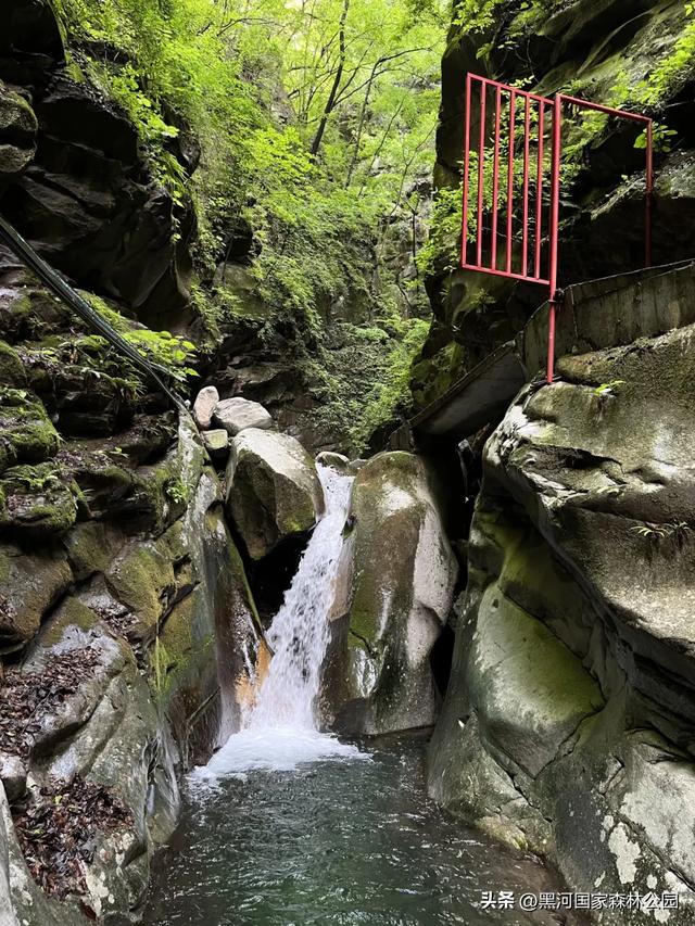 高温别怕！进山纳凉来黑河，山水环绕凉快极了！