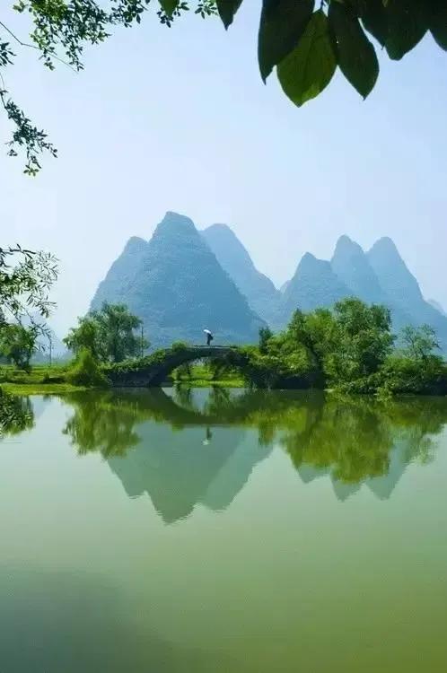 手机壁纸精美图片（98）