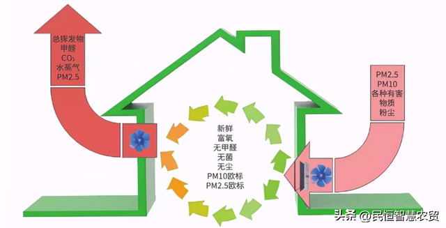 辟谣：智慧菜市场不适合老年人？