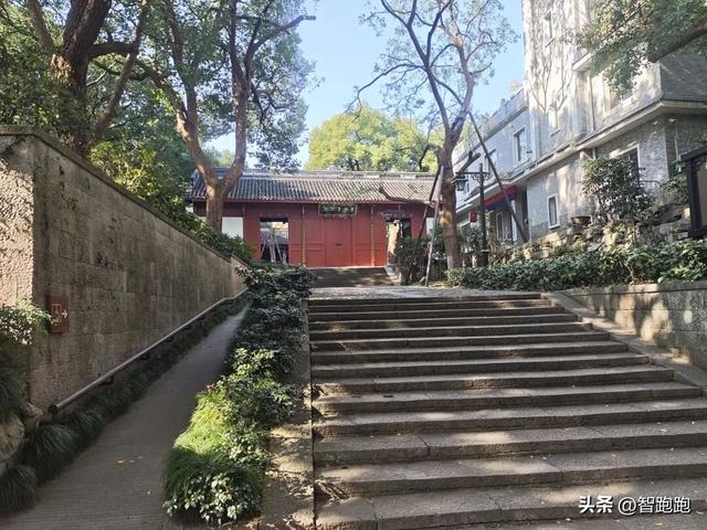 2025 杭州西湖 City Walk 留下足迹